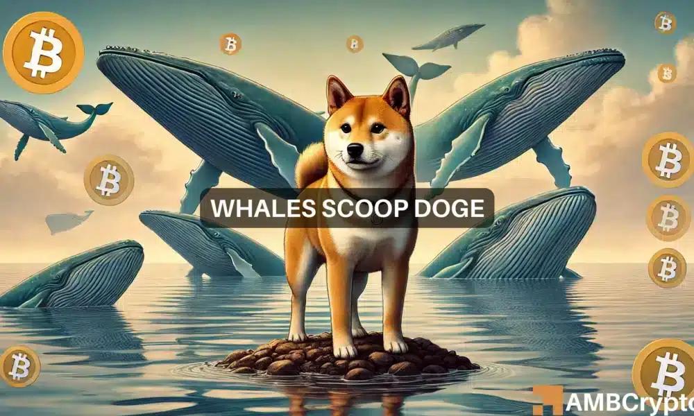 狗狗币5600万美元的鲸鱼积累或许不利于狗狗币的反弹