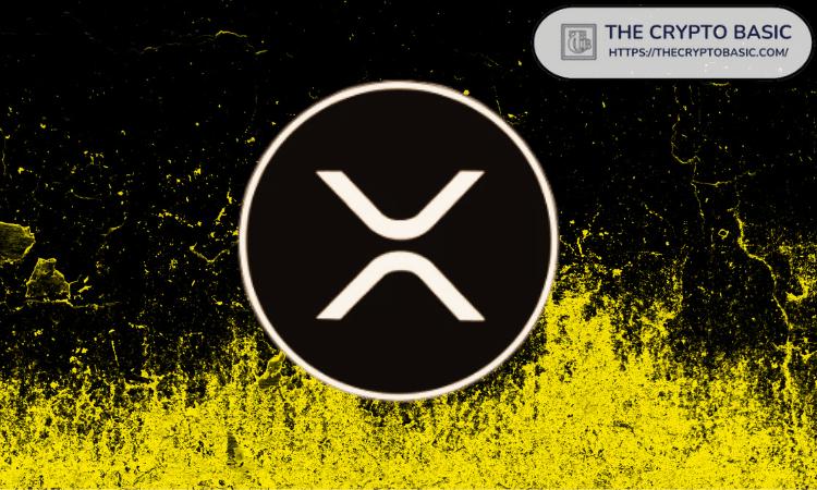 加密货币专家警告:查看 XRP 价格可能让你提前衰老三倍